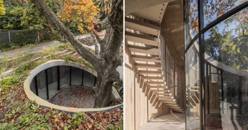 This House Was Built Around A 100 Year Old Oak Tree Architecture