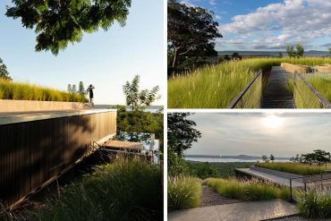 the-green-roof-on-this-home-has-tall-grasses-surrounding-a-seating-area