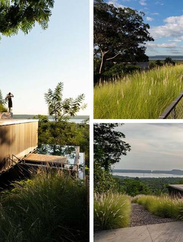 the-green-roof-on-this-home-has-tall-grasses-surrounding-a-seating-area