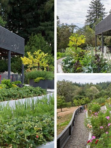 a-delightful-terraced-garden-sits-in-front-of-this-outdoor-dining-room