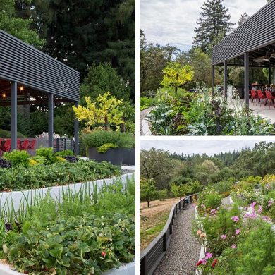 a-delightful-terraced-garden-sits-in-front-of-this-outdoor-dining-room