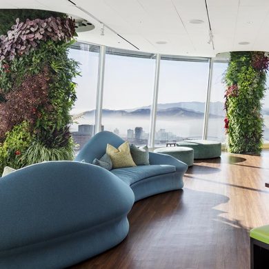 24-columns-were-transformed-into-vertical-gardens-inside-this-office