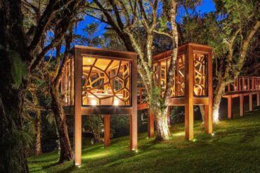 a-modern-tree-house-with-two-rooms