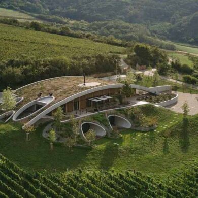 a-curved-green-roof-allows-this-winery-to-blend-into-the-landscape