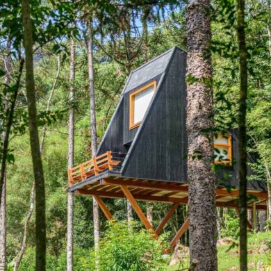 a-tree-house-that-feels-like-it's-floating-inside-the-forest