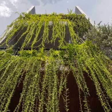 cascading-plants-cover-this-home-in-vietnam