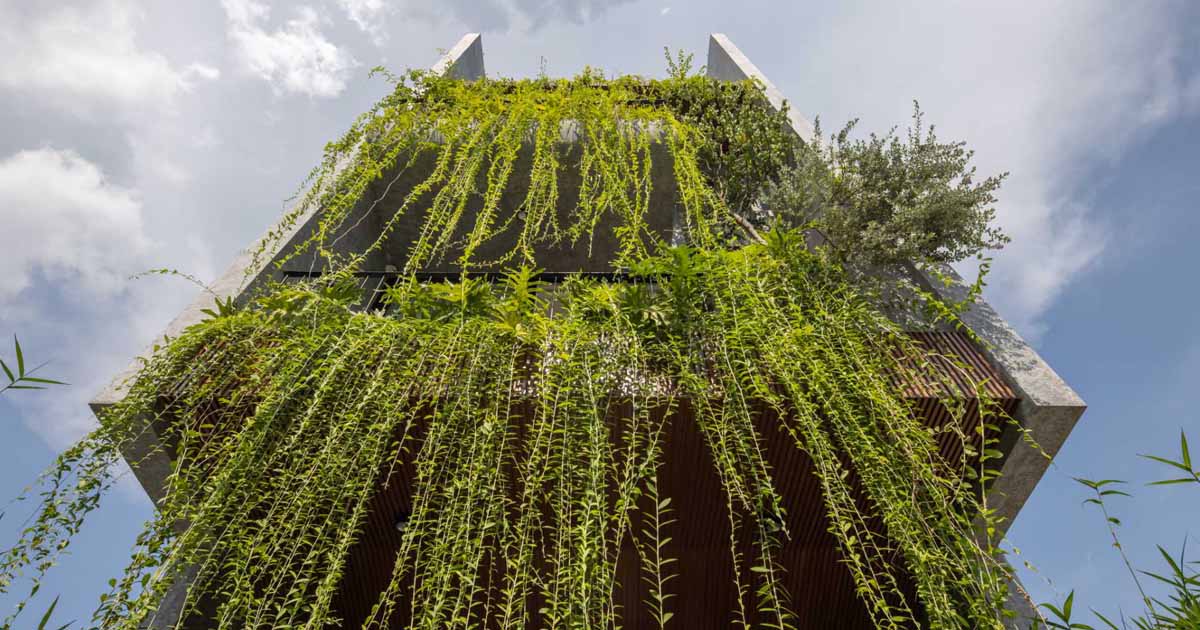 cascading-plants-cover-this-home-in-vietnam