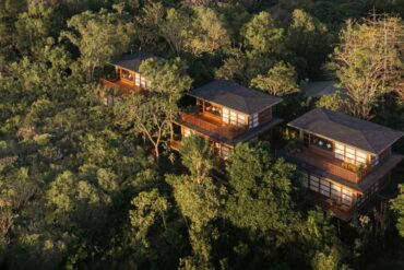 wood-houses-appear-through-the-tops-of-the-trees-at-this-nature-focused-resort