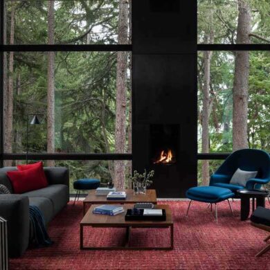 a-living-room-that-floats-above-the-forest-floor-is-a-remarkable-feature-of-this-home