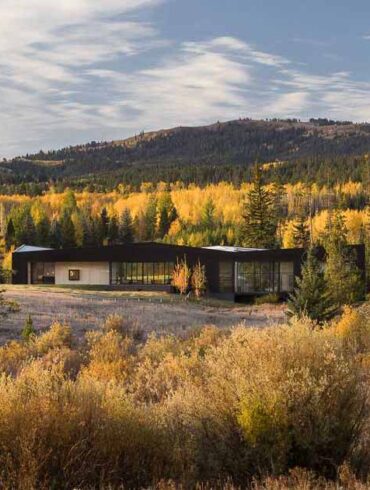 a-charred-wood-exterior-was-given-to-this-modern-home-in-the-forest